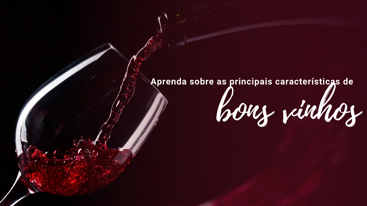 Aprenda sobre as principais características de um bom vinho