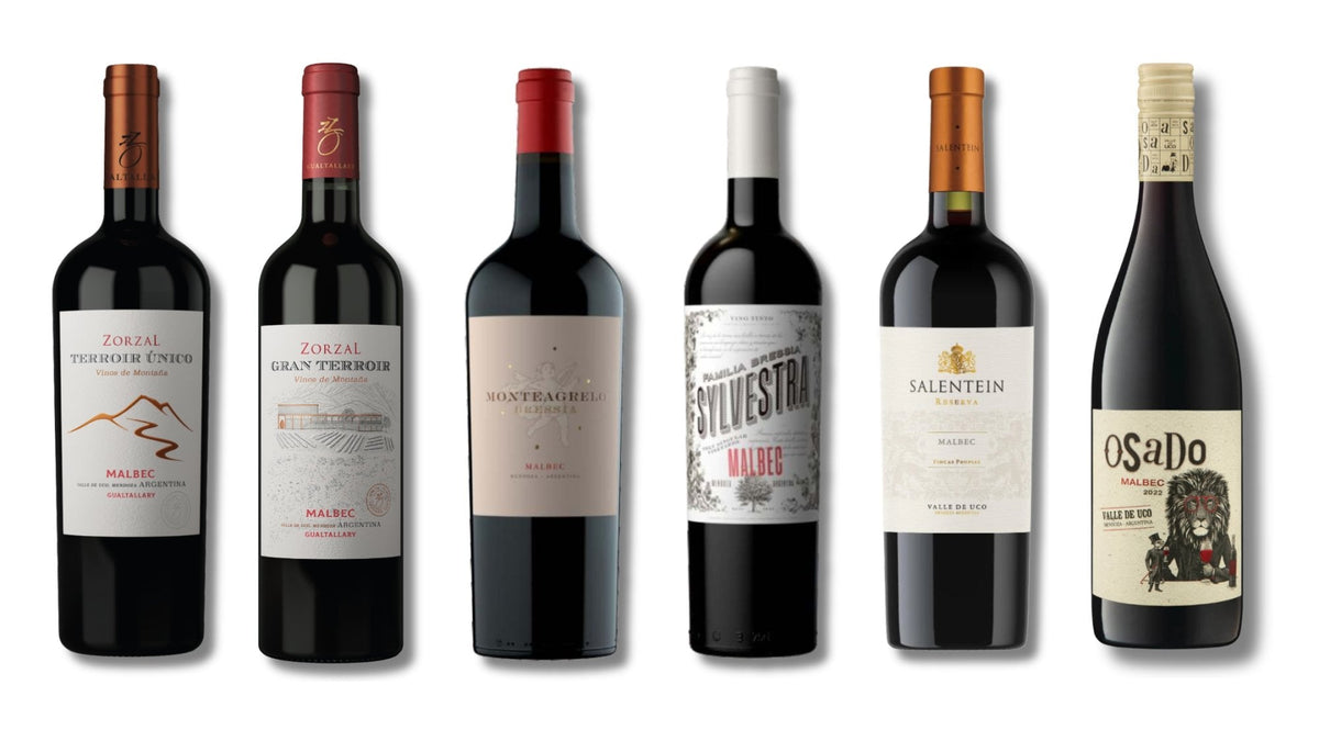 Aprenda a ler rótulo de vinho