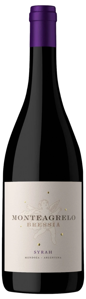 MONTEAGRELO SYRAH