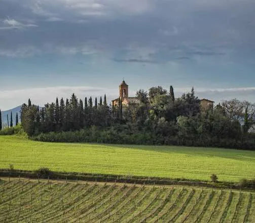 La Ripolina