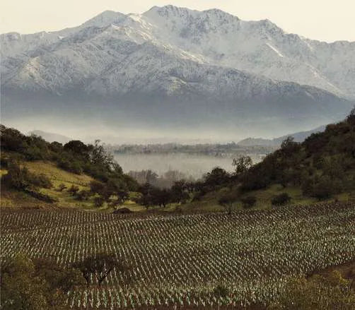 Santa Rita