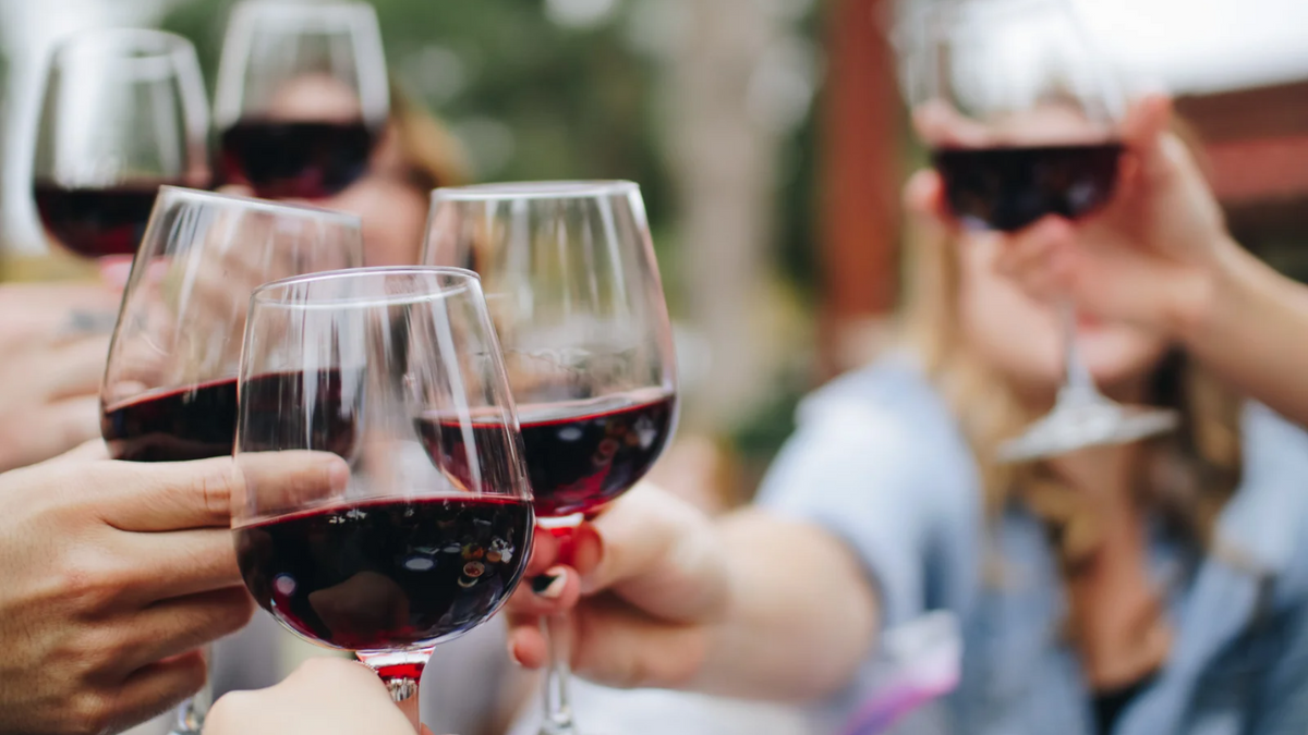 Vinho: uma bebida cheia de história e curiosidade