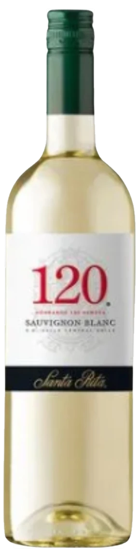 120 RESERVA ESPECIAL SAUVIGNON BLANC