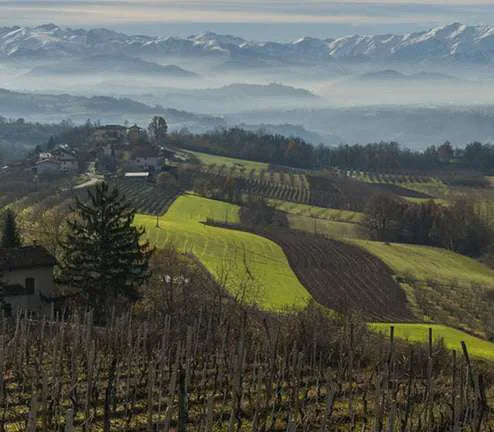 Cantina Clavesana