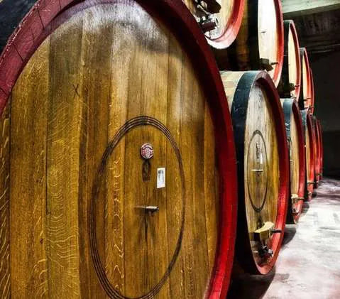 Cantina Miglianico