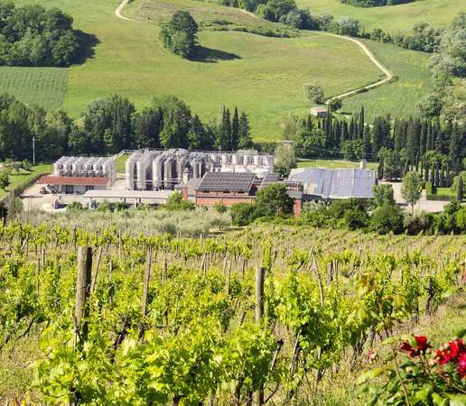 Colli Fiorentini
