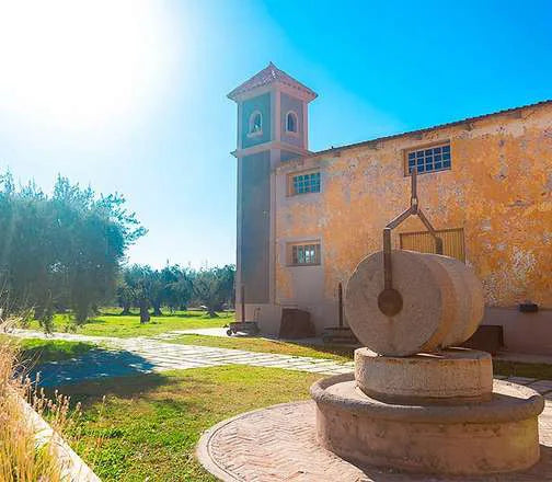 Olivícola Laur