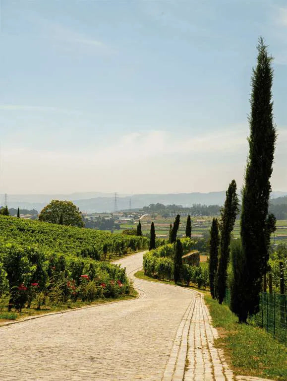 Quinta de Monforte